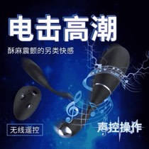 新品女性玩具夫妻调教电击sm刺激hv